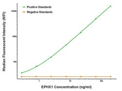 EPHX1 Mouse anti-Human, Clone: OTI3A10, liquid, TrueMAB 100 &mu;g; Unconjugated:Antibodies,