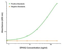 EPHX2 Mouse anti-Human, Clone: OTI1H5, liquid, TrueMAB 100 &mu;g; Unconjugated:Antibodies,