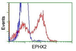 EPHX2 Monoclonal Antibody (OTI2G2), TrueMAB , OriGene 100 &mu;L; Unconjugated:Antibodies,