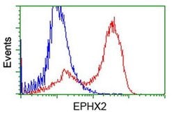 EPHX2 Monoclonal Antibody (OTI3F6), TrueMAB , OriGene:Antibodies:Primary