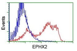 EPHX2 Monoclonal Antibody (OTI2F2), TrueMAB , OriGene 100 &mu;L; Unconjugated:Antibodies,