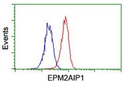 EPM2AIP1 Mouse anti-Human, Clone: OTI2A2, lyophilized, TrueMAB 100 &mu;g;