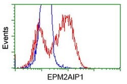 EPM2AIP1 Monoclonal Antibody (OTI5G8), TrueMAB , OriGene 30 &mu;L | Buy Online | Origene Technologies | Fisher Scientific
