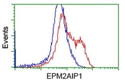 EPM2AIP1 Monoclonal Antibody (OTI1D11), TrueMAB , OriGene 100 &mu;L; Unconjugated:Antibodies,