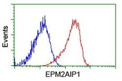 EPM2AIP1 Monoclonal Antibody (OTI1G9), TrueMAB , OriGene 100 &mu;L; Unconjugated:Antibodies,