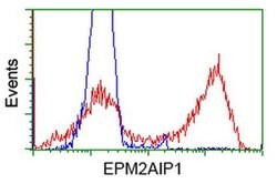 EPM2AIP1 Monoclonal Antibody (OTI1F3), TrueMAB , OriGene 100 &mu;L; Unconjugated:Antibodies,