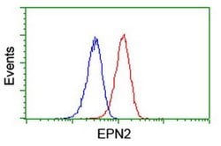 EPN2 Monoclonal Antibody (OTI1B4), TrueMAB , OriGene 100 &mu;L; Unconjugated:Antibodies,