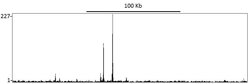 Estrogen Receptor Alpha Rabbit anti-Human, Polyclonal, Bethyl Laboratories