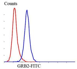 GRB2 Polyclonal Antibody, Huabio 100 &mu;L; Unconjugated:Antibodies, Polyclonal