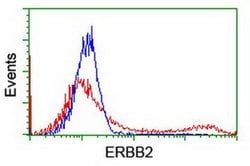 ERBB2 Monoclonal Antibody (OTI4F10), TrueMAB , OriGene 100 &mu;L; Unconjugated:Antibodies,