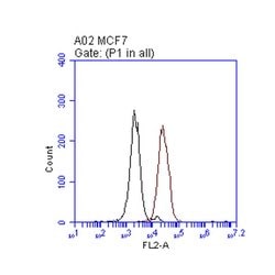 ERBB2 Monoclonal Antibody (3G11-14), TrueMAB , OriGene 100 &mu;L; Unconjugated:Antibodies,