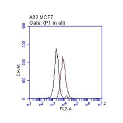 ERBB2 Monoclonal Antibody (5F4-15), TrueMAB , OriGene:Anticuerpos:Anticuerpos
