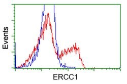 ERCC1 Monoclonal Antibody (OTI1B3), TrueMAB , OriGene 30 &mu;L; Unconjugated:Antibodies,