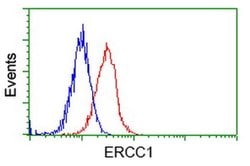 ERCC1 Monoclonal Antibody (OTI1B3), TrueMAB , OriGene 30 &mu;L; Unconjugated:Antibodies,