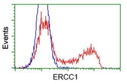 ERCC1 Monoclonal Antibody (OTI3F2), TrueMAB , OriGene 30 &mu;L; Unconjugated:Antibodies,