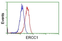 ERCC1 Monoclonal Antibody (OTI1C6), TrueMAB , OriGene 100 &mu;L; Unconjugated:Antibodies,