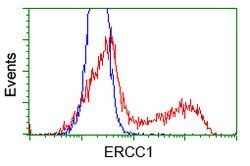 ERCC1 Mouse anti-Human, Clone: OTI2A7, lyophilized, TrueMAB 100 &mu;g;