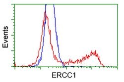 ERCC1 Monoclonal Antibody (OTI1G6), TrueMAB , OriGene 100 &mu;L; Unconjugated:Antibodies,