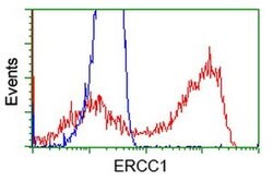 ERCC1 Monoclonal Antibody (OTI3E1), TrueMAB , OriGene 30 &mu;L; Unconjugated:Antibodies,