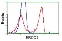 ERCC1 Monoclonal Antibody (OTI1A8), TrueMAB , OriGene:Antibodies:Primary