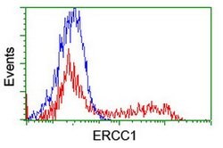 ERCC1 Mouse anti-Human, Clone: OTI2A8, lyophilized, TrueMAB 100 &mu;g;