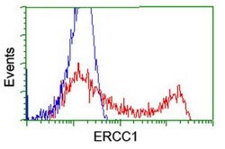 ERCC1 Mouse anti-Human, Clone: OTI12F11, lyophilized, TrueMAB 100 &mu;g | Buy Online | Origene Technologies | Fisher Scientific