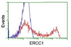 ERCC1 Monoclonal Antibody (OTI12F11), TrueMAB , OriGene 100 &mu;L; Unconjugated:Antibodies,