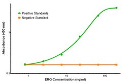 ERG Mouse anti-Human, Clone: OTI5F12, liquid, TrueMAB 100 &mu;g; Unconjugated:Antibodies,
