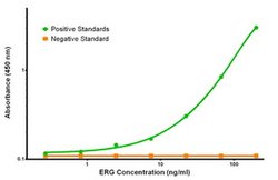 ERG Mouse anti-Human, Clone: OTI8A9, liquid, TrueMAB 100 &mu;g; Unconjugated:Antibodies,