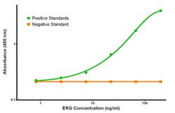 ERG Mouse anti-Human, Clone: OTI4G10, liquid, TrueMAB 100 &mu;g; Unconjugated:Antibodies,