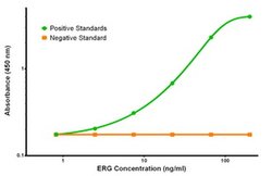 ERG Mouse anti-Human, Clone: OTI4G10, liquid, TrueMAB 100 &mu;g; Unconjugated:Antibodies,