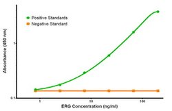 ERG Mouse anti-Human, Biotin, Clone: OTI5F12, liquid, TrueMAB 50 &mu;g;
