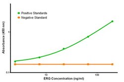 ERG Mouse anti-Human, Biotin, Clone: OTI5F12, liquid, TrueMAB 50 &mu;g;