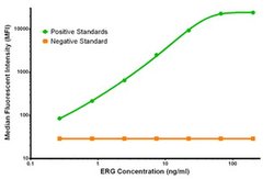 ERG Mouse anti-Human, Clone: OTI5F12, liquid, TrueMAB 100 &mu;g; Unconjugated:Antibodies,