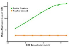 ERG Mouse anti-Human, Clone: OTI8A9, liquid, TrueMAB 100 &mu;g; Unconjugated:Antibodies,