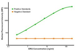 ERG Mouse anti-Human, Clone: OTI8A9, liquid, TrueMAB 100 &mu;g; Unconjugated:Antibodies,