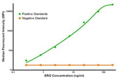 ERG Mouse anti-Human, Clone: OTI4G10, liquid, TrueMAB 100 &mu;g; Unconjugated:Antibodies,