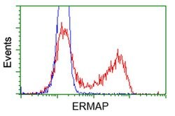 ERMAP Mouse anti-Human, Clone: OTIC8, liquid, TrueMAB 100 &mu;L; Unconjugated:Antibodies,