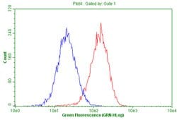 ERMAP Mouse anti-Human, Clone: OTIC8, liquid, TrueMAB 100 &mu;L; Unconjugated:Antibodies,