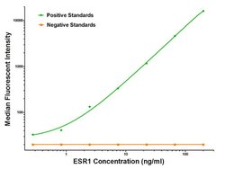 ESR1 Mouse anti-Human, Clone: OTI8E9, liquid, TrueMAB 100 &mu;g; Unconjugated:Antibodies,