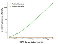 ESR1 Mouse anti-Human, Clone: OTI8E9, liquid, TrueMAB 100 &mu;g; Unconjugated:Antibodies,