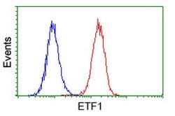 ETF1 Mouse anti-Human, Clone: OTI2E3, lyophilized, TrueMAB 100 &mu;g; Unconjugated:Antibodies,