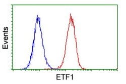 ETF1 Mouse anti-Human, Clone: OTI2E3, liquid, TrueMAB 100 &mu;L; Unconjugated:Antibodies,