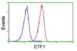 ETF1 Mouse anti-Human, Clone: OTI2E3, lyophilized, TrueMAB 100 &mu;g; Unconjugated:Antibodies,