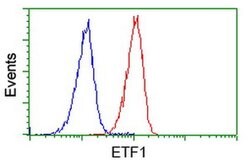 ETF1 Mouse anti-Human, Clone: OTI2E3, liquid, TrueMAB 100 &mu;L; Unconjugated:Antibodies,