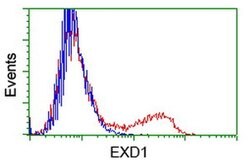 EXD1 Monoclonal Antibody (OTI4D7), TrueMAB , OriGene 100 &mu;L; Unconjugated:Antibodies,