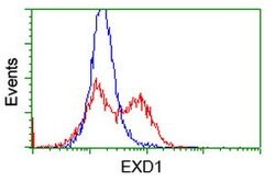 EXD1 Mouse anti-Human, Clone: OTI3E1, lyophilized, TrueMAB 100 &mu;g; Unconjugated:Antibodies,