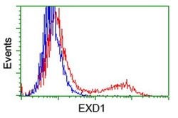 EXD1 Monoclonal Antibody (OTI2G5), TrueMAB , OriGene 30 &mu;L; Unconjugated:Antibodies,