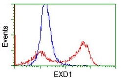 EXD1 Monoclonal Antibody (OTI3H7), TrueMAB , OriGene:Antibodies:Primary