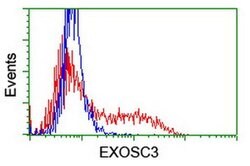EXOSC3 Monoclonal Antibody (OTI1D6), TrueMAB , OriGene:Antibodies:Primary